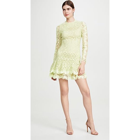 NWT Jonathan Simkhai Guipure Lace Long Sleeve Mini Dress Pear 10 - Picture 2 of 11
